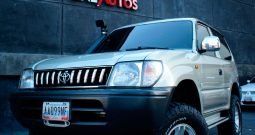 totoya-meru-2009-gris-1